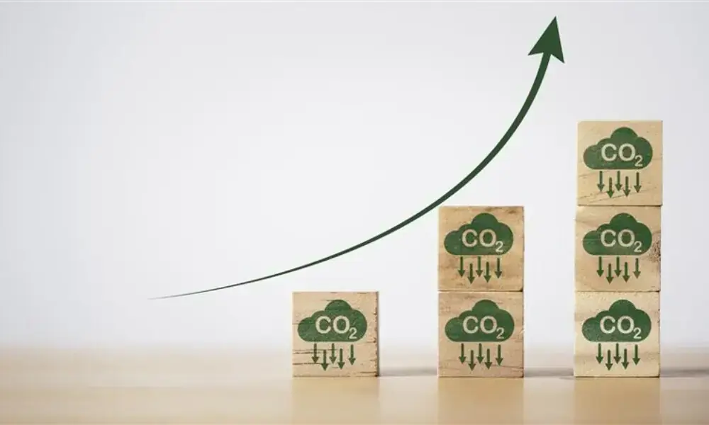 Carbon market initiative: TIP outlines legislative roadmap for parliament