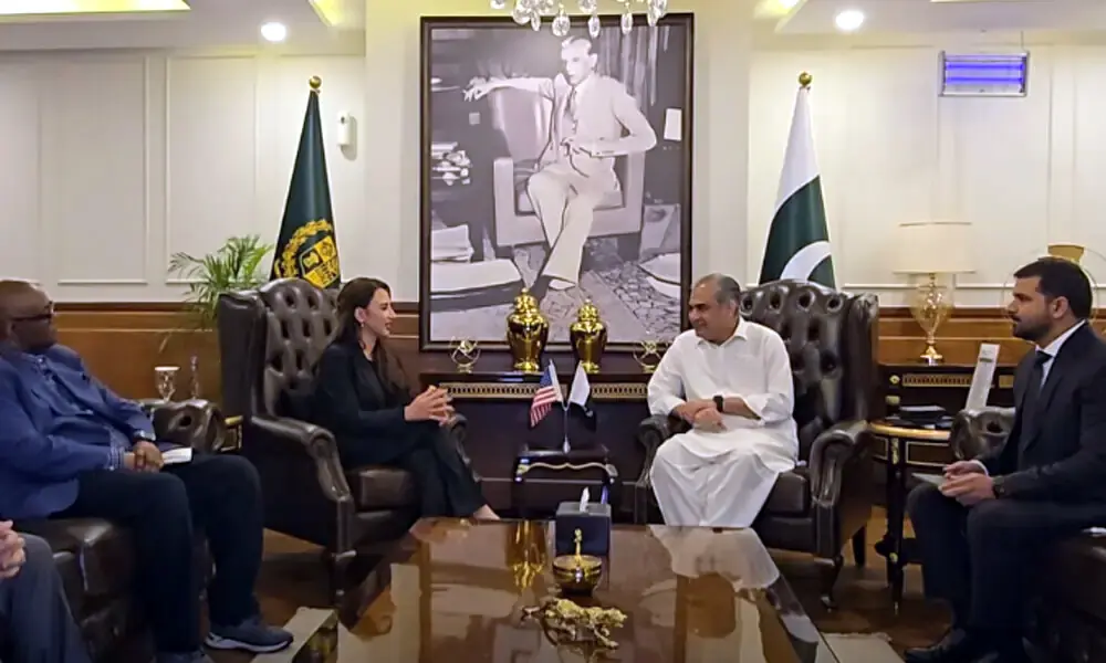 Naqvi assures US envoy of ‘watertight security’