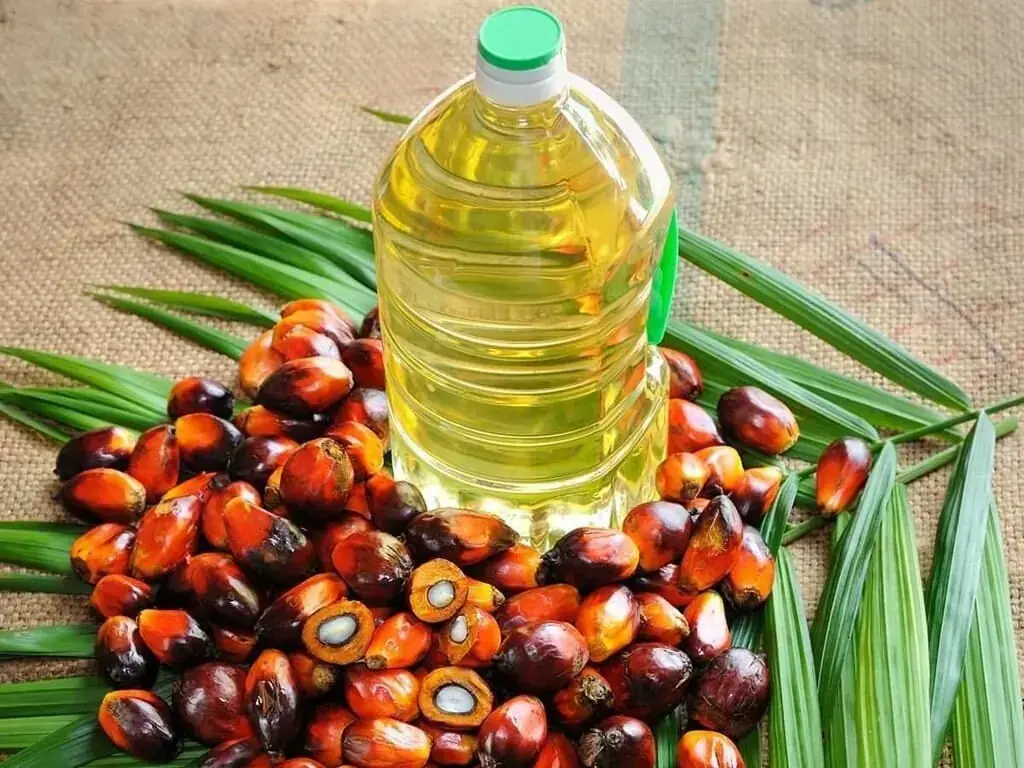 Malaysia’s March palm oil stocks fell 16.14% m/m: MPOB