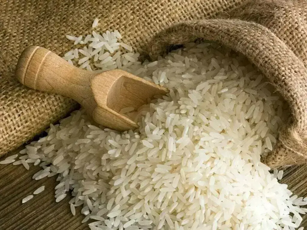 Asia rice: India export rates steady, Vietnamese prices tick up post harvest season