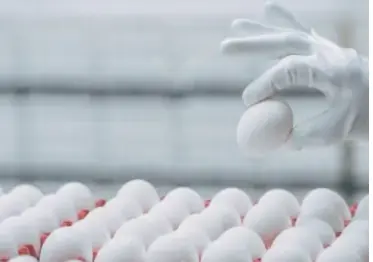 IPO at PSX: Wahdat Poultry’s stock price surges 50% to Rs18 per share