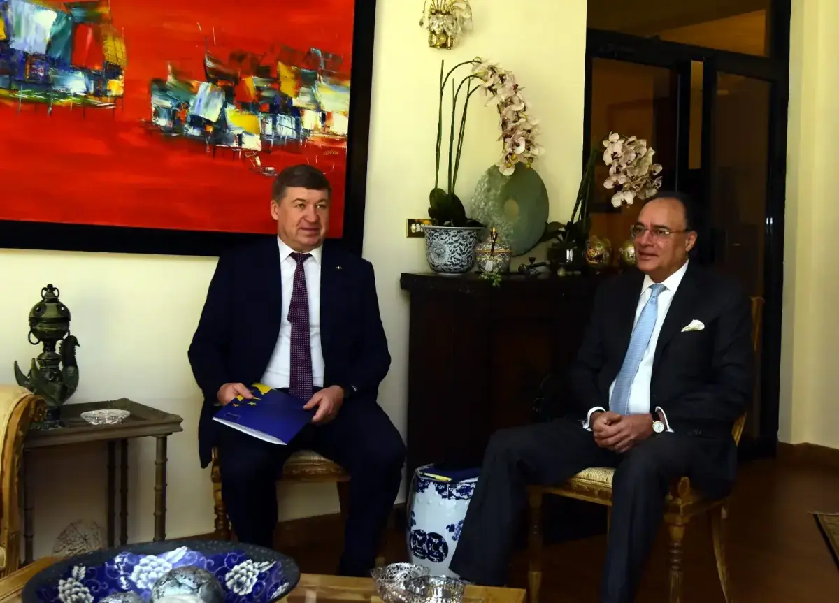 Aurangzeb tells EU Ambassador: Govt pursuing diversified capital markets strategy