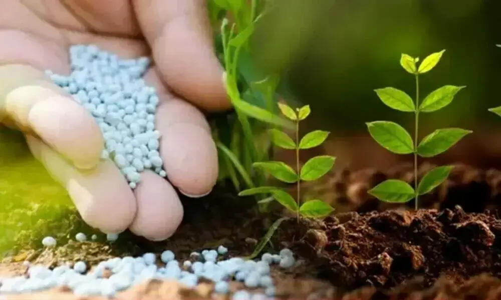 Iran war fertiliser squeeze could spell trouble for next year's grain harvests