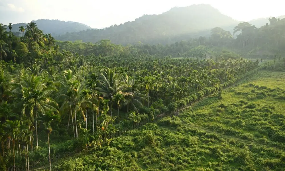 Indian opposition slams Nicobar megaport plan