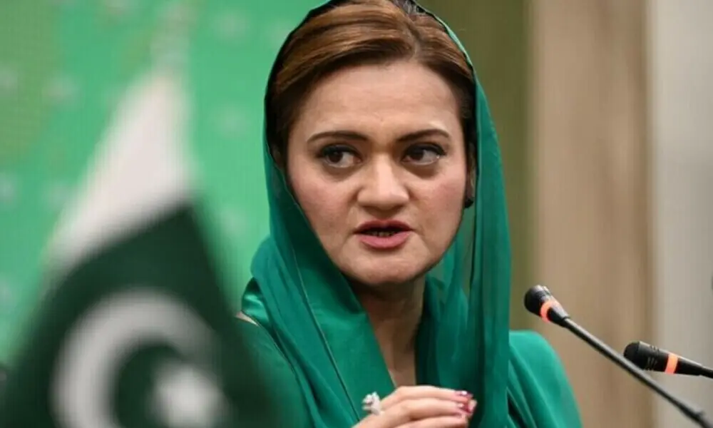 Punjab to ensure equal progress across all regions: Marriyum