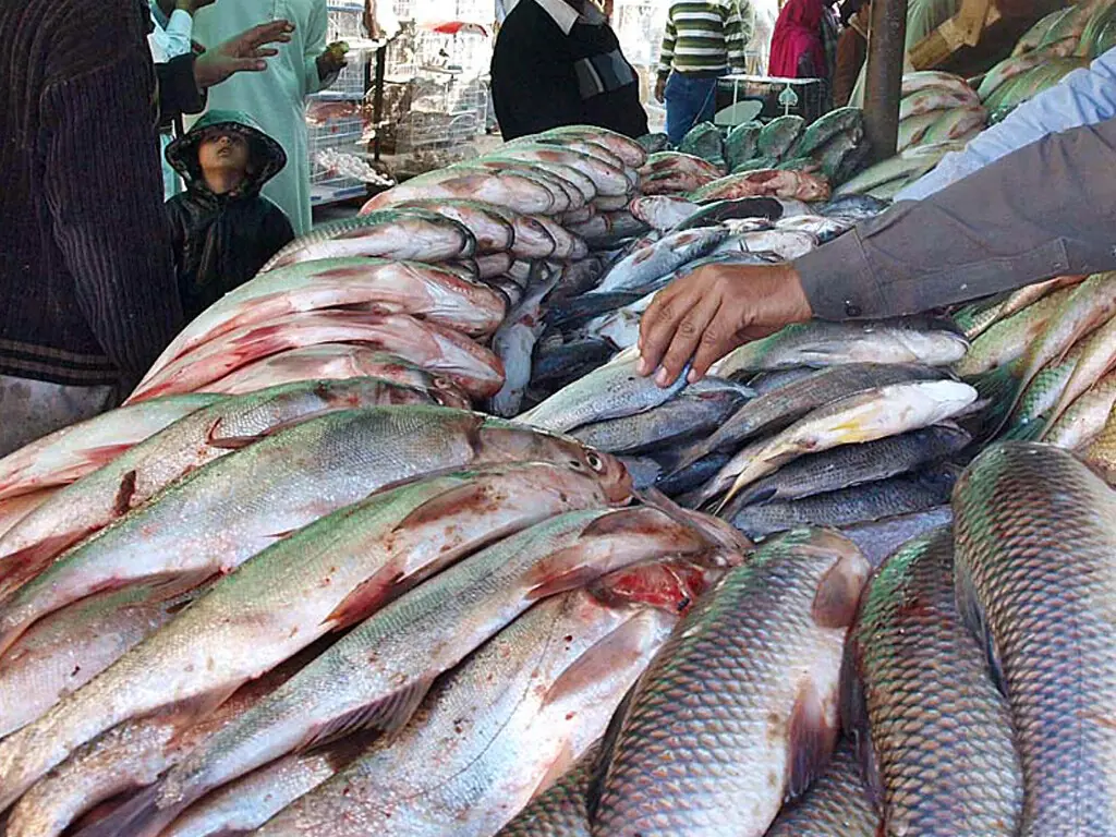 Govt moves to curb overfishing, promote tuna harvesting