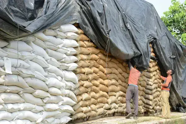 Public sector growers: KP cabinet approves of procurement of wheat