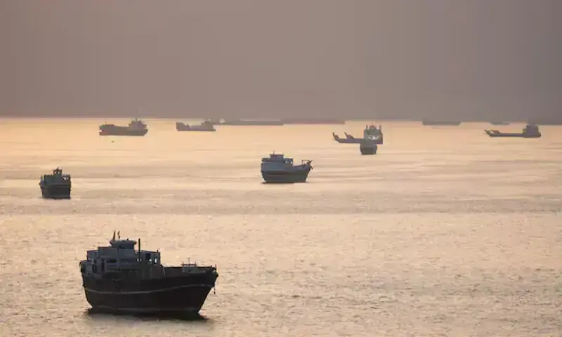 Strait of Hormuz blockade: FAO warns of global food crisis