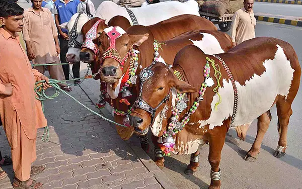 Eid holidays announced