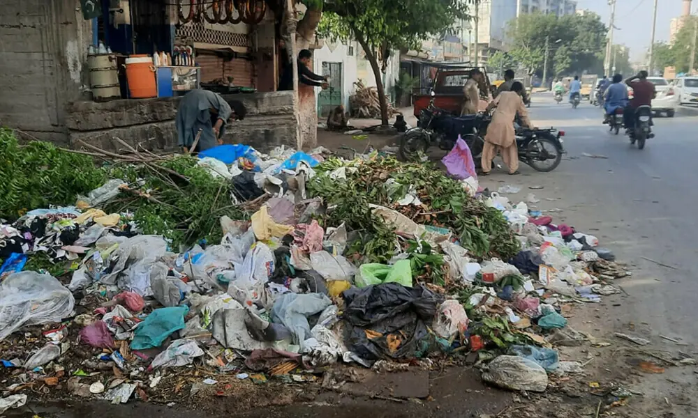 Rs50,000 fine for improper offal disposal