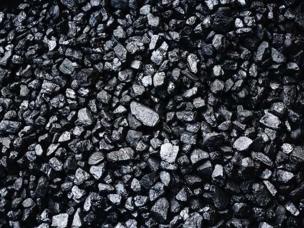 Body formed to probe award of coal terminal contract