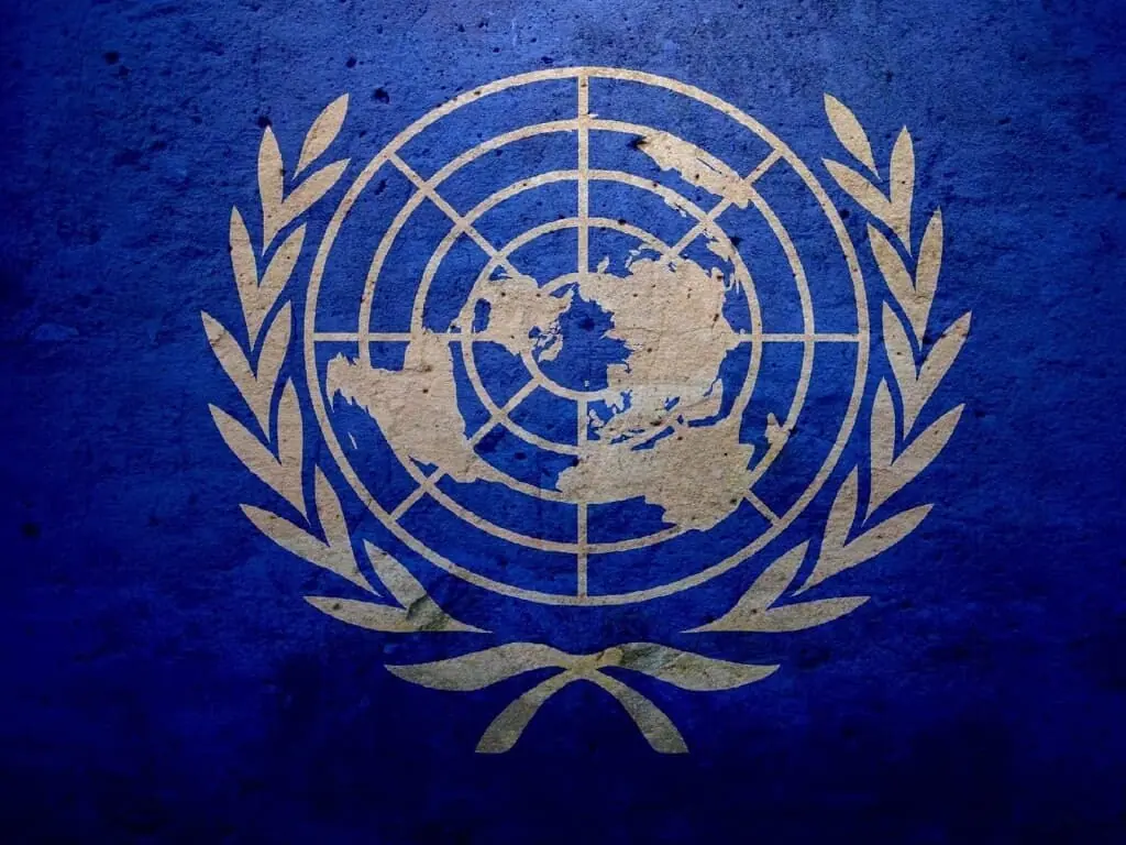 Partnership, education, cooperation: UNHCR, QAU commit to advancing opportunities