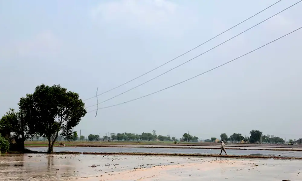 India File: Searing El Niño tests crop buffers, exposes workers