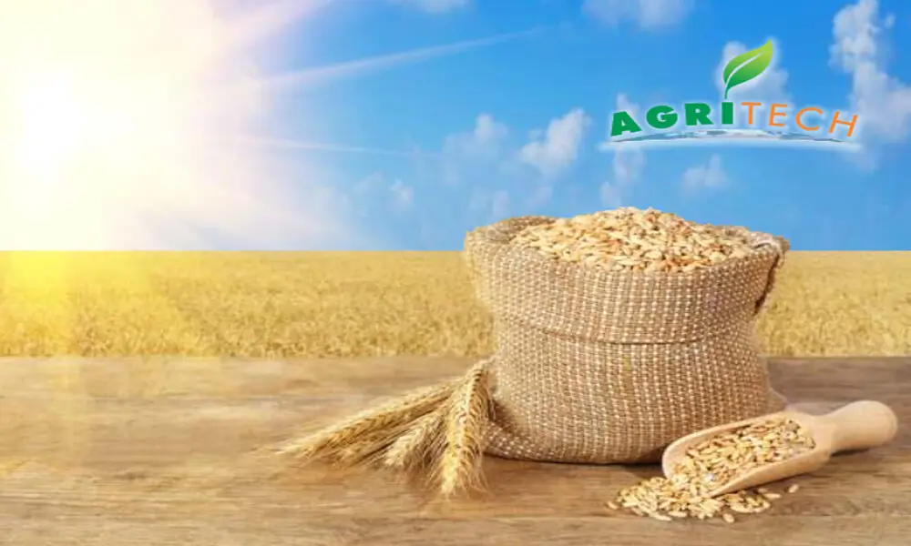 Agritech Limited: performance and outlook