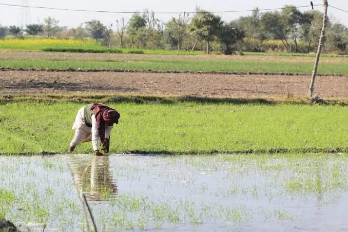 Pakistan's irrigation system is dying