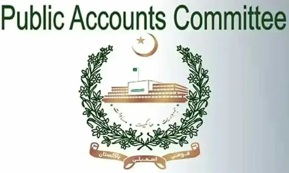 PAC unhappy over embezzlement in power sector entities