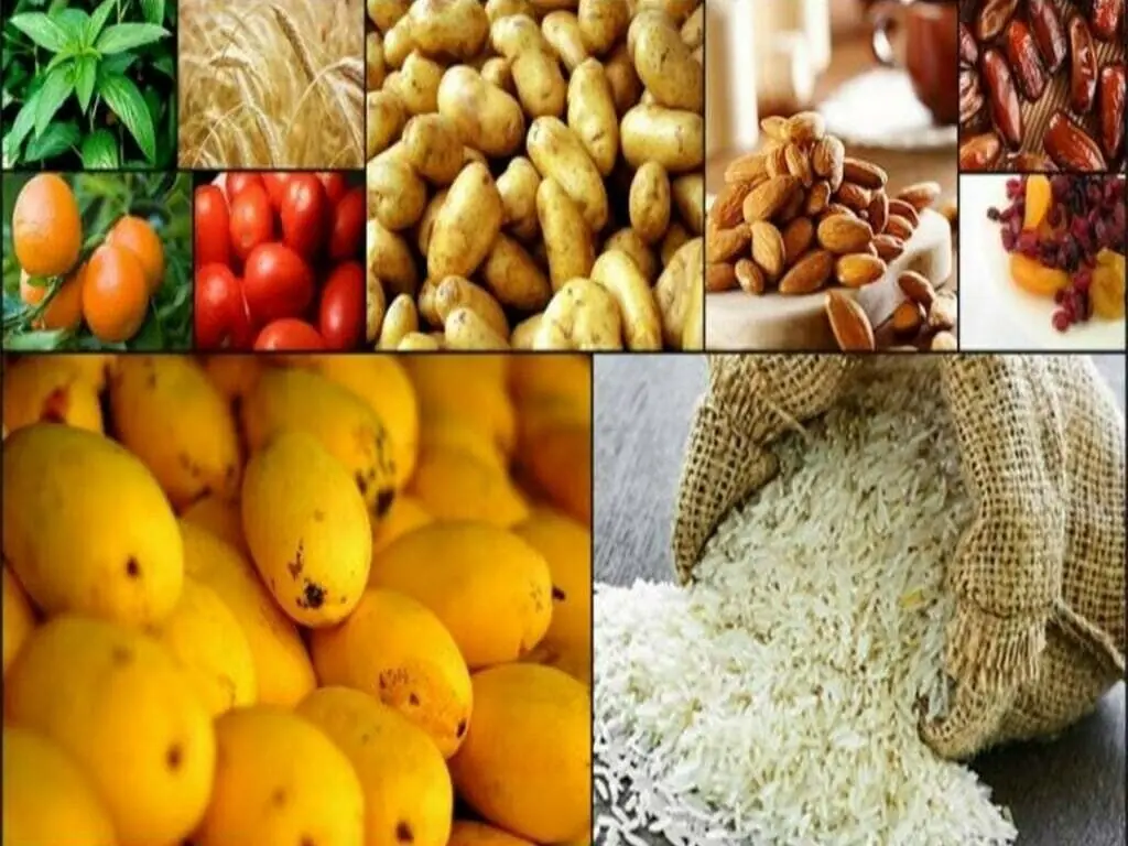 Punjab overhauls food safety with digital inspections: SACM Salma