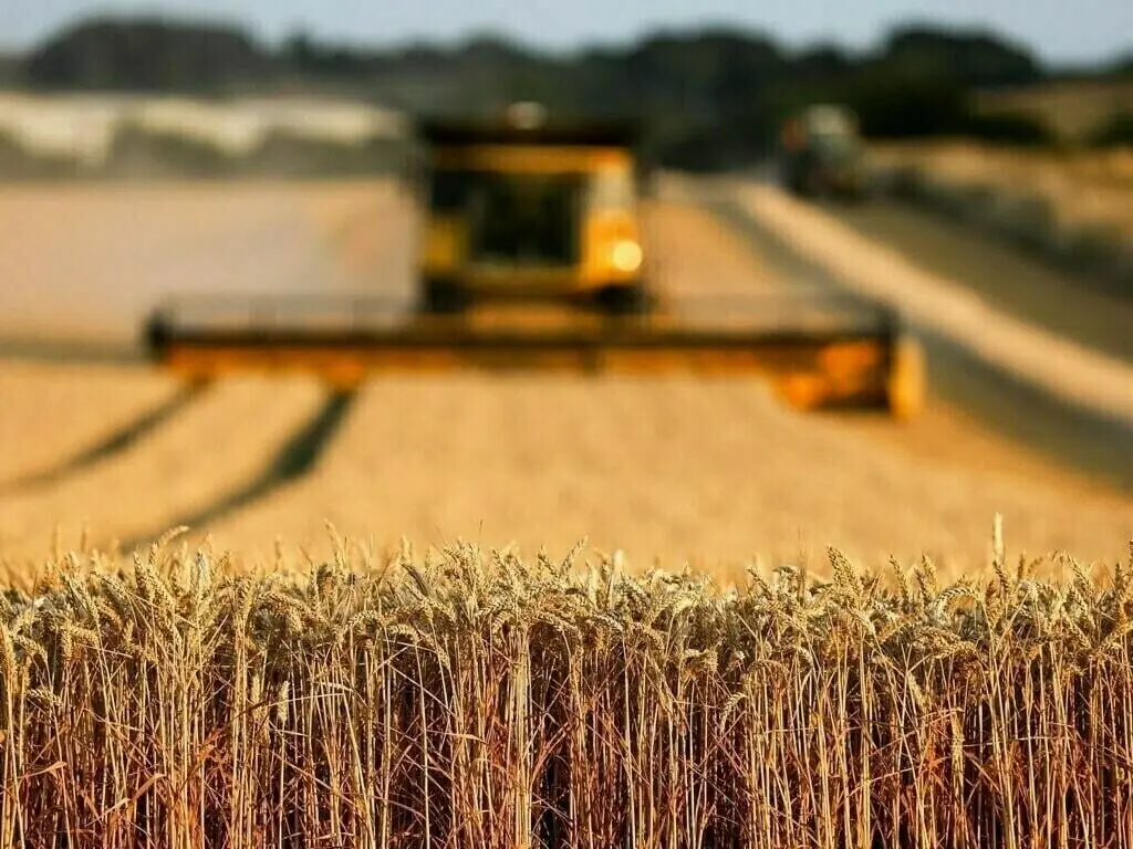 Chinese envoy visits UAF, emphasizes modernization of agriculture sector