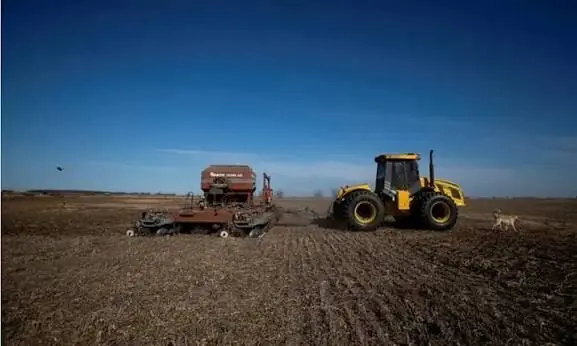 Argentina farmers hold back wheat crop as higher prices slow sales