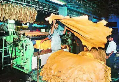 Transport Strike Threatens Pakistan Leather Exports