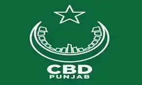 CEO CBD Punjab reviews mega projects