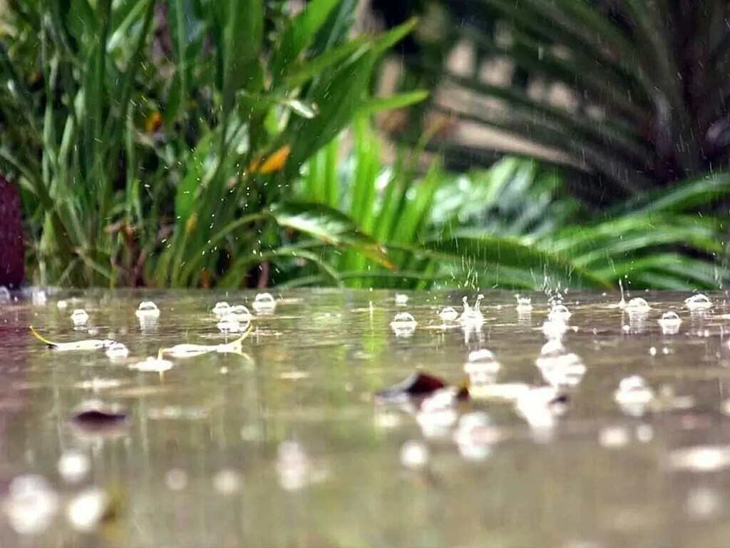 Rabi season: Fertilizer offtake likely to increase
