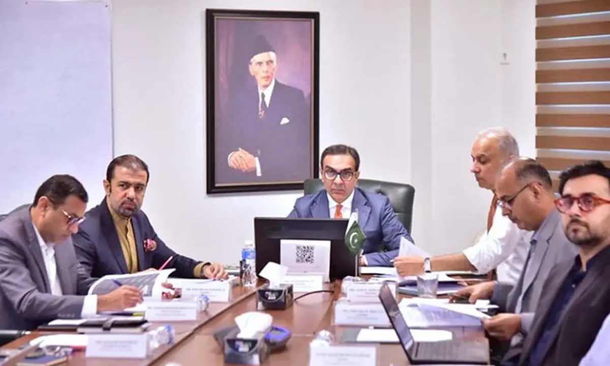 DISCOs, ZTBL and State Life privatization: PC advances key transactions, approves major decisions