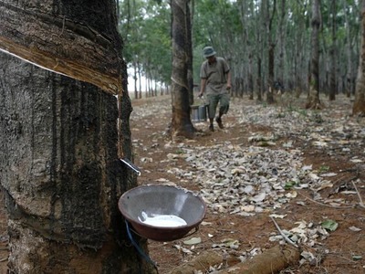 TOCOM falls on growing US-China tensions, surging virus cases