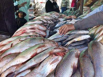 Fish exports increase 10pc in June 2020 Fish exports increase 10pc in June 2020