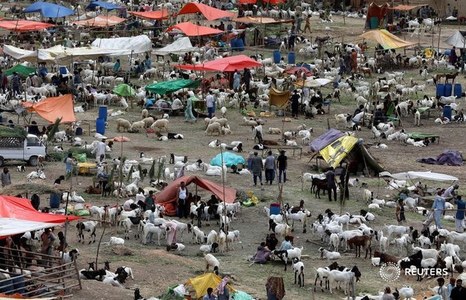 Pakistan urges worshippers to buy sacrificial animals online to prevent COVID-19 surge