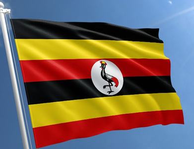 Uganda introduces primary dealers for government debt market