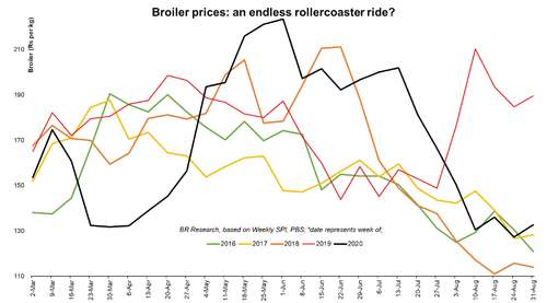 Broiler: time for a rebound? Broiler: time for a rebound?