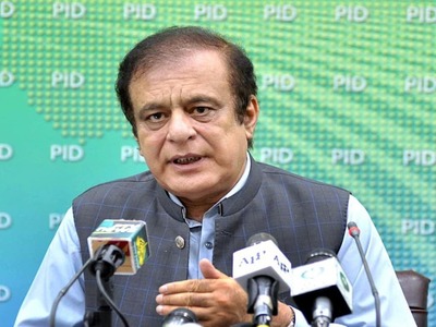 Opposition making futile exercise as it has no public support: Shibli Opposition making futile exercise as it has no public support: Shibli