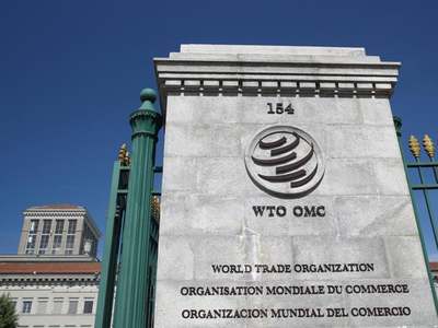 Navigating the World Trade Dis-organization