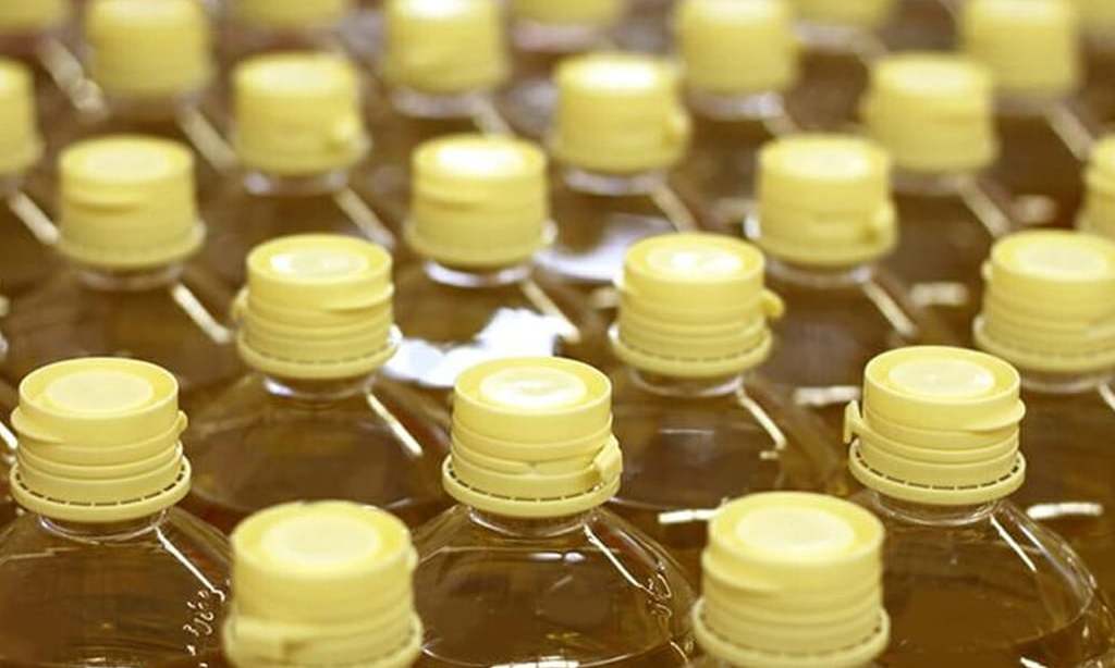 Palm retreats from 8-year high but logs 5pc weekly rise
