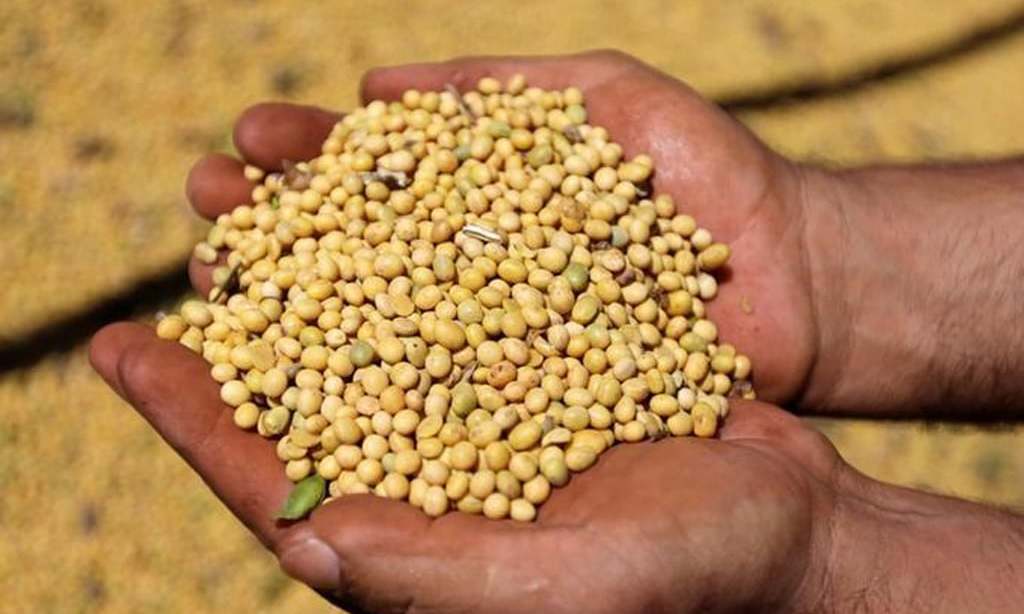 Soybeans, corn steady-up 2 cents; wheat up 3-5 cents