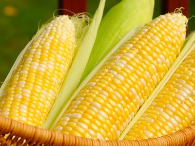 CBOT corn futures fall