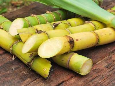 Does ethanol drive cane demand?