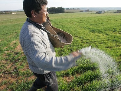 Fertilizer sales remain static