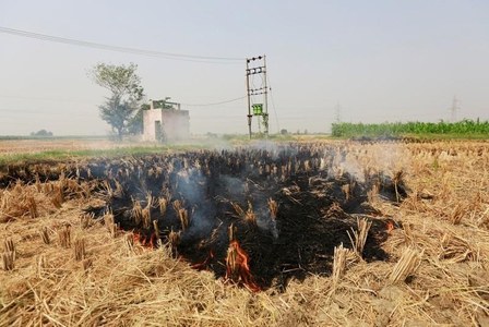 Lahore High Court Announced a 50K Fine on Stubble Burning