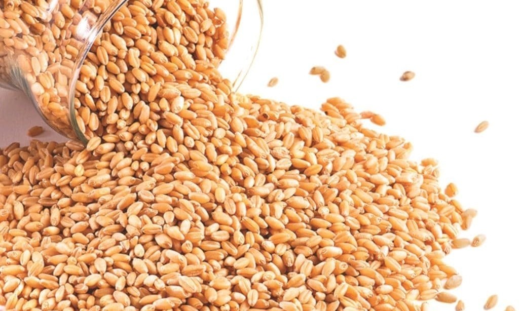 CBOT wheat may retest resistance at $5.94-1/4