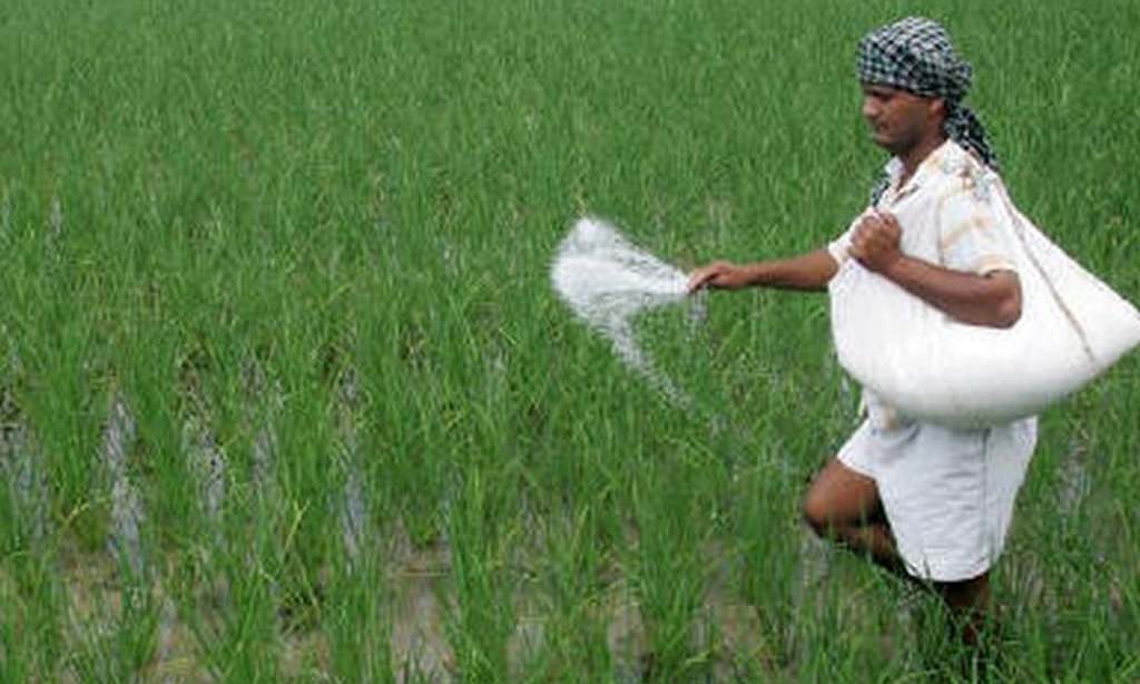 Urea-making plants: Ministries on warpath over RLNG supply