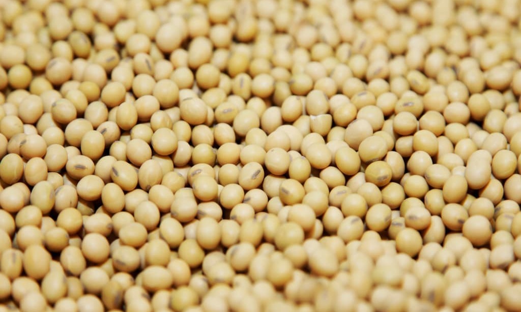 Brazil soy farmers sell estimated 75.4mn tonnes in advance