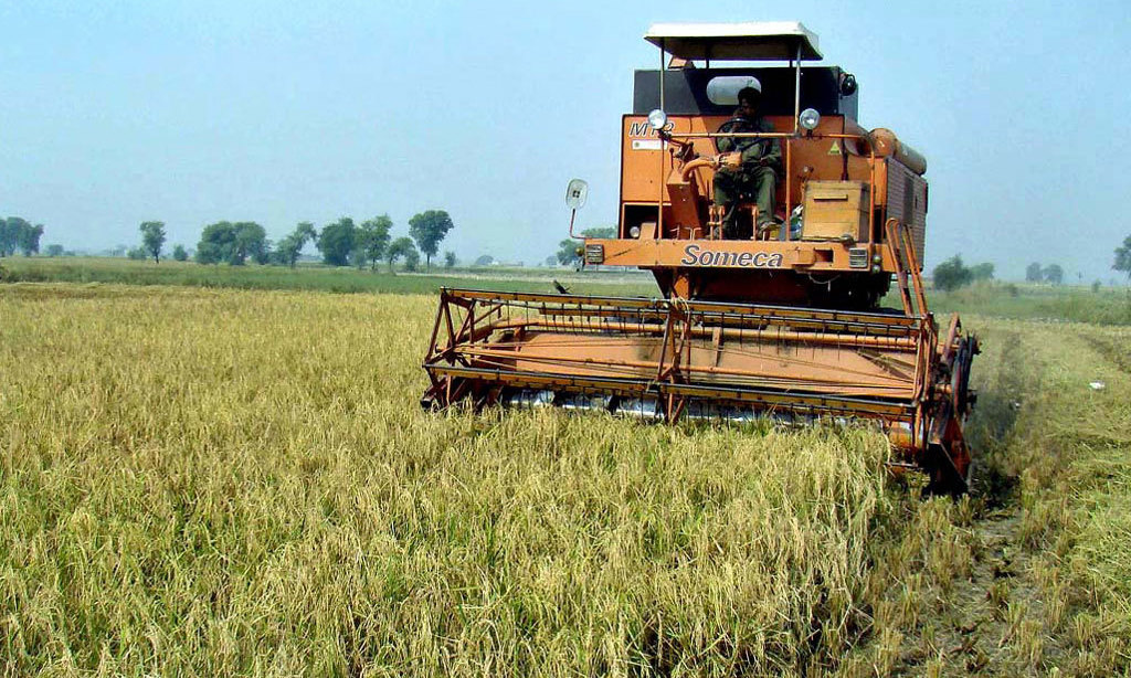 UAF to auction agri produce on Dec 17