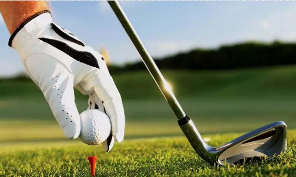 Norway's Hovland wins Mayakoba Classic with closing birdie