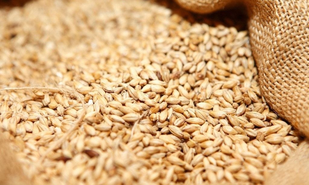 Wheat falls to lowest since early October on supply pressure