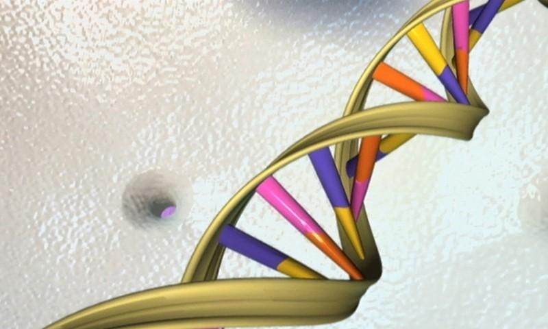 Pakistan, China to establish Gene & Cell Technology Research Center