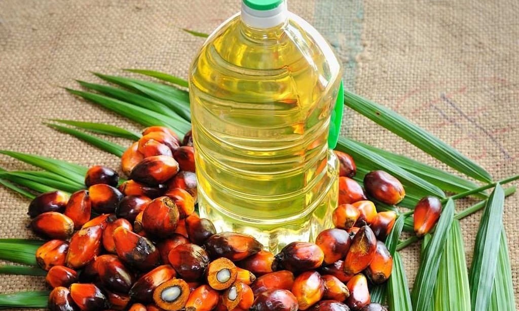 Malaysia's state-owned palm planter Felda agrees to acquire FGV Holdings' shares