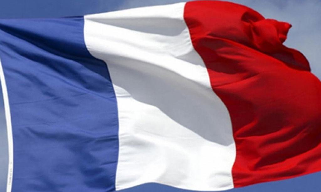 France confirms severe bird flu outbreak on duck farm