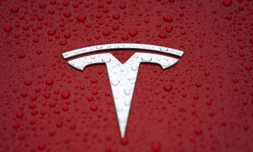 Tesla ordered to suspend tree clearance at German factory